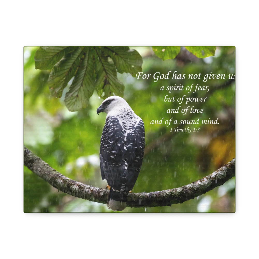 Scripture Canvas A Sound Mind 1 Timothy 1:7 Christian Wall Art Bible Verse